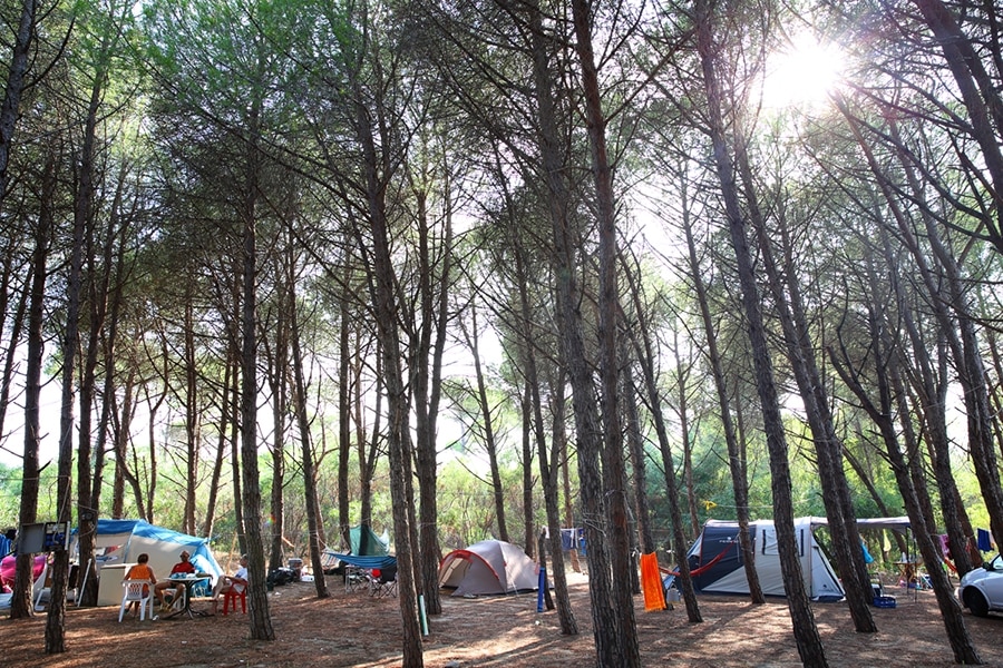 Camping Calabrisella