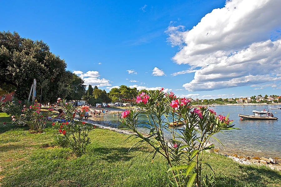 Arena Stoja Campsite