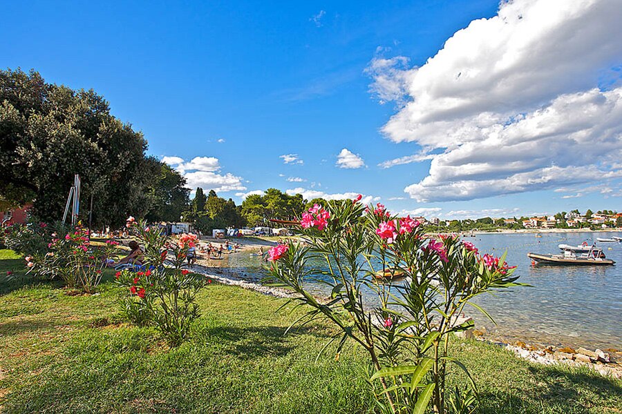 Arena Stoja Campsite