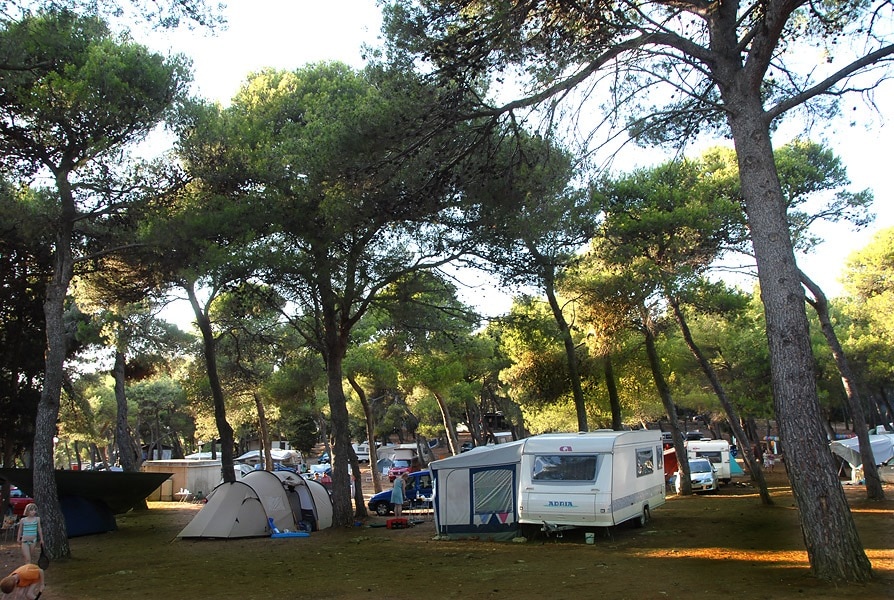 Arena Indije Campsite