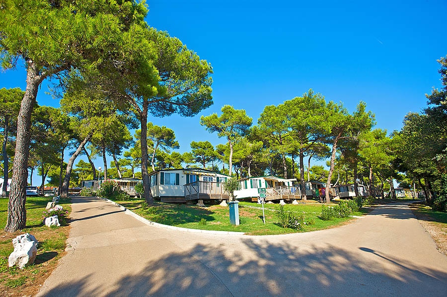 Arena Indije Campsite