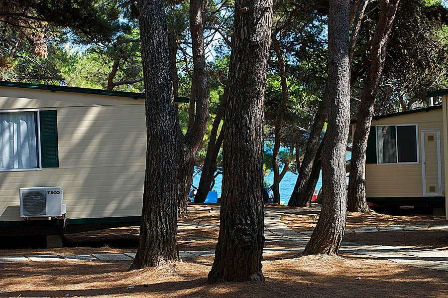 Arena Stupice Campsite