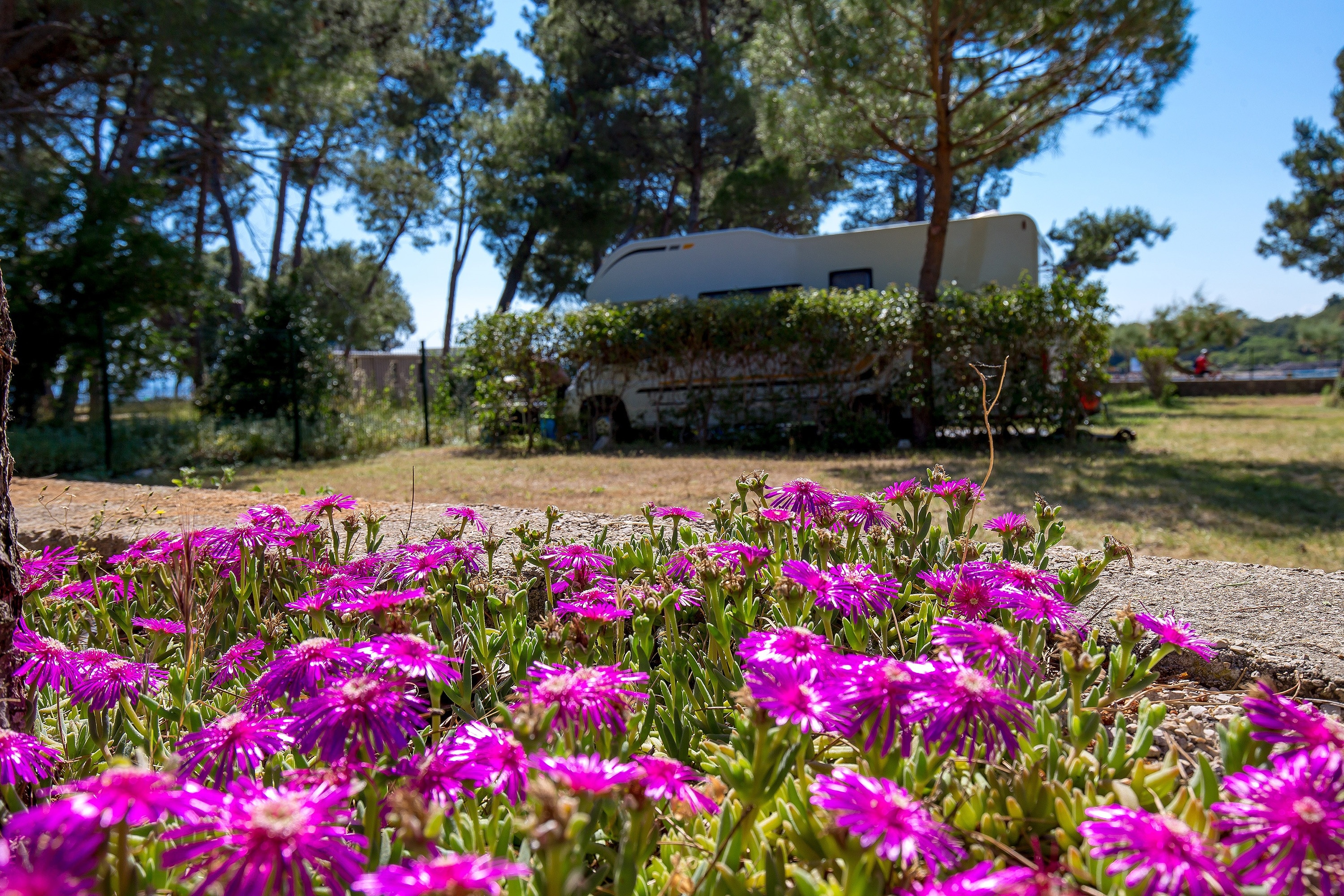 Camping Pila