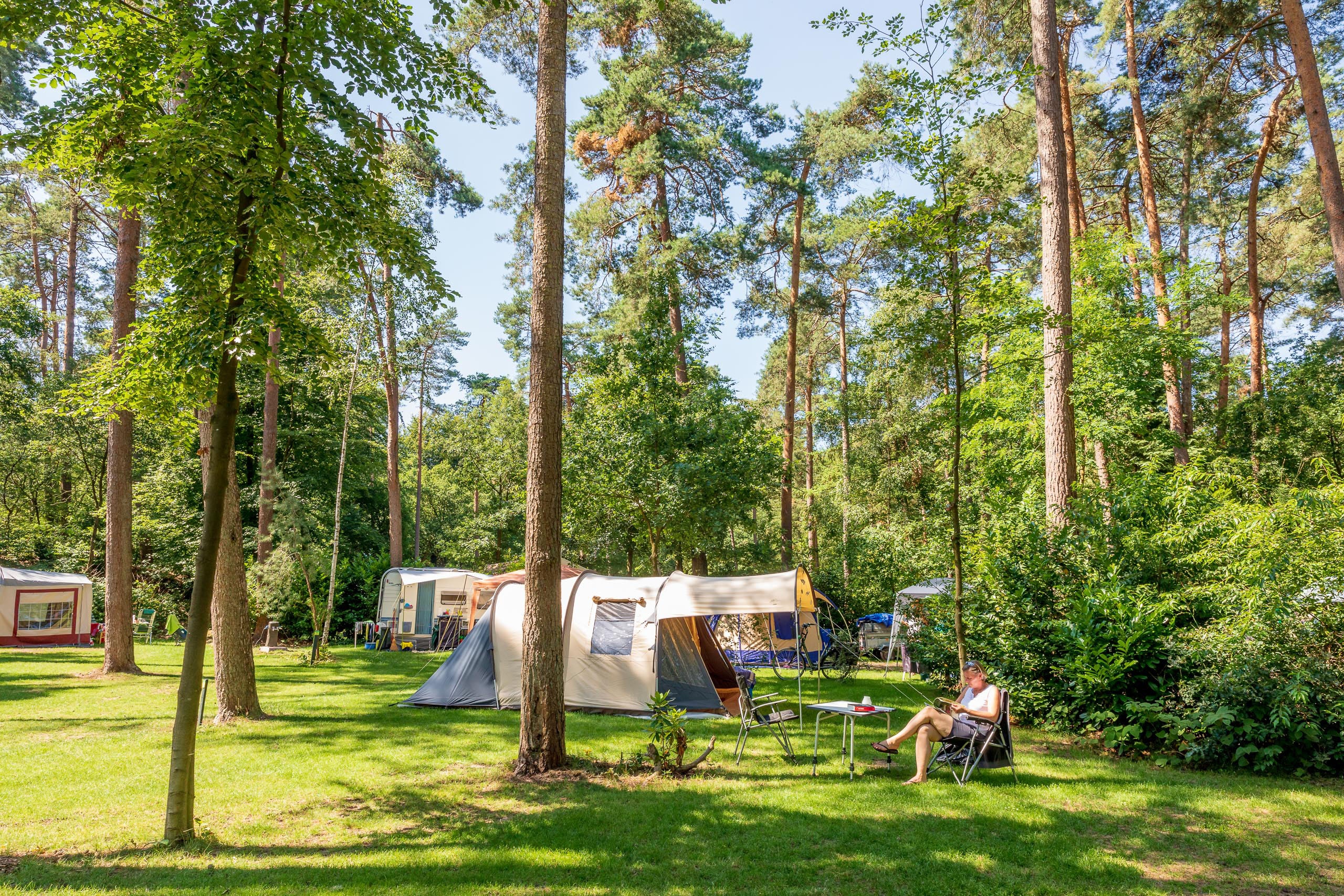 Ardoer Vakantiedorp De Jutberg