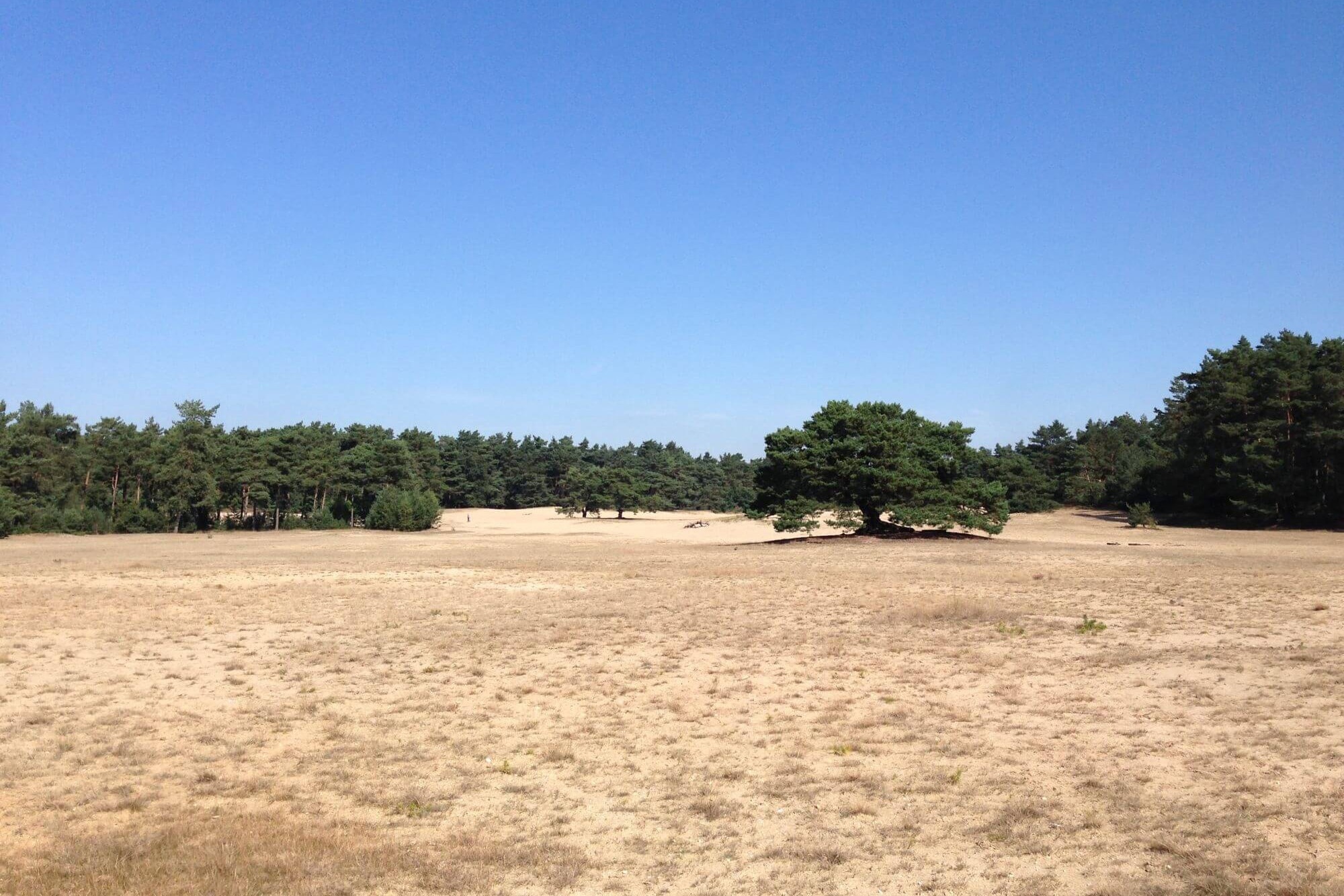Recreatiepark Samoza