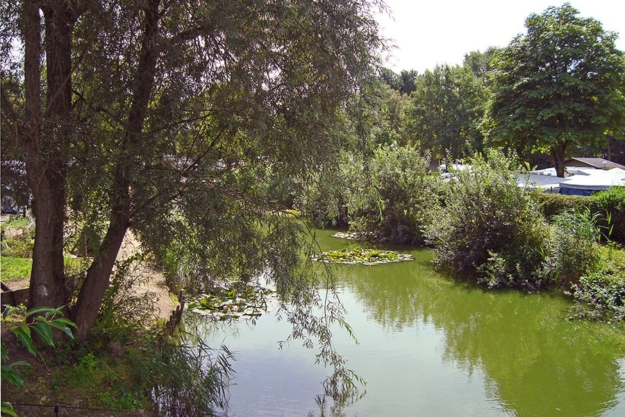 Camping Klein Canada