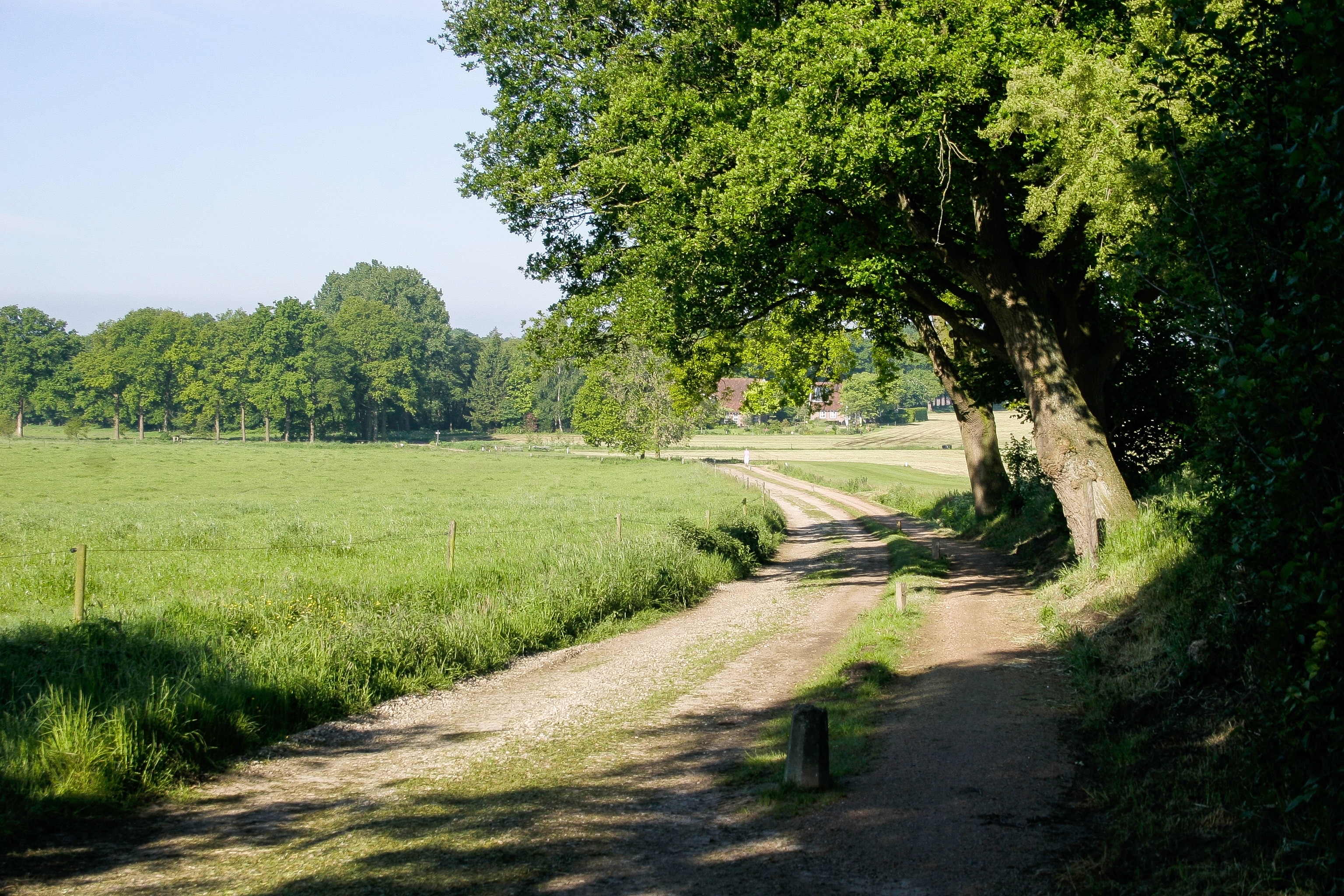 Camping De Kuiperberg