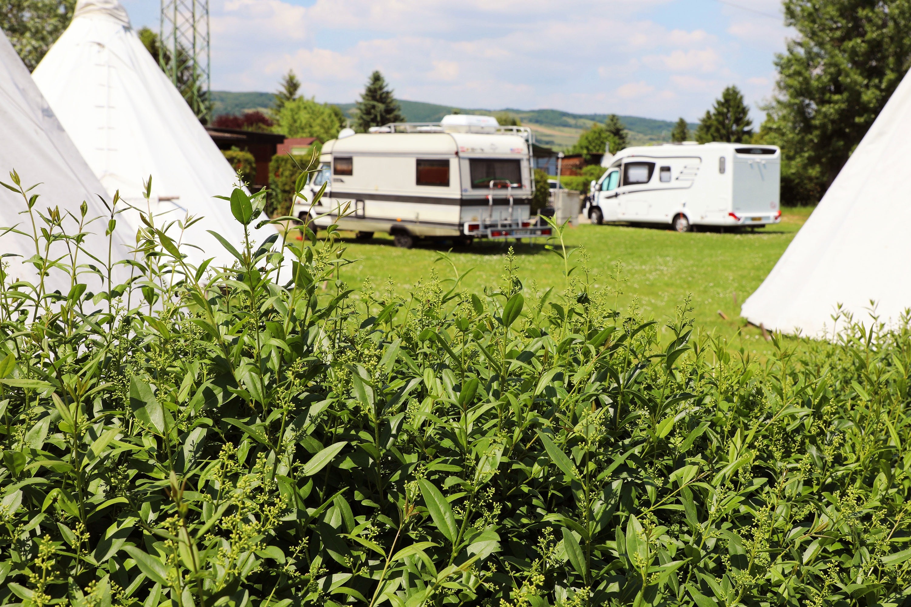 Campingplatz Storchencamp Purbach