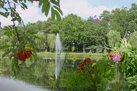 Camping Berkenstrand