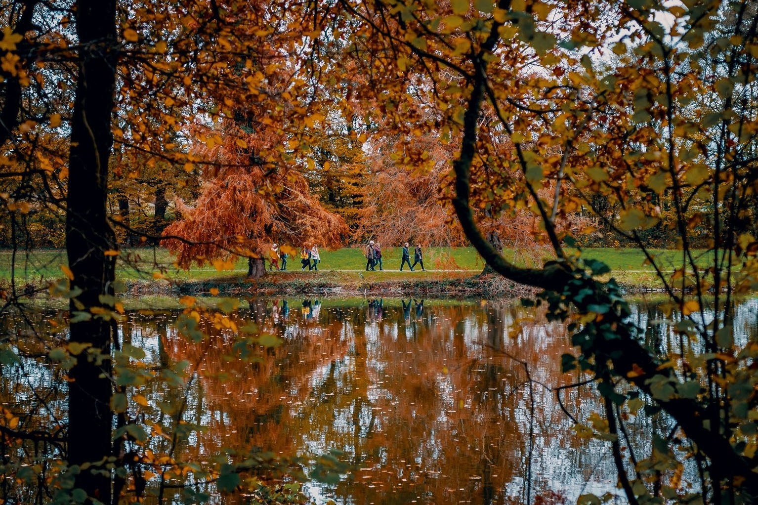 Camping des Gayeulles