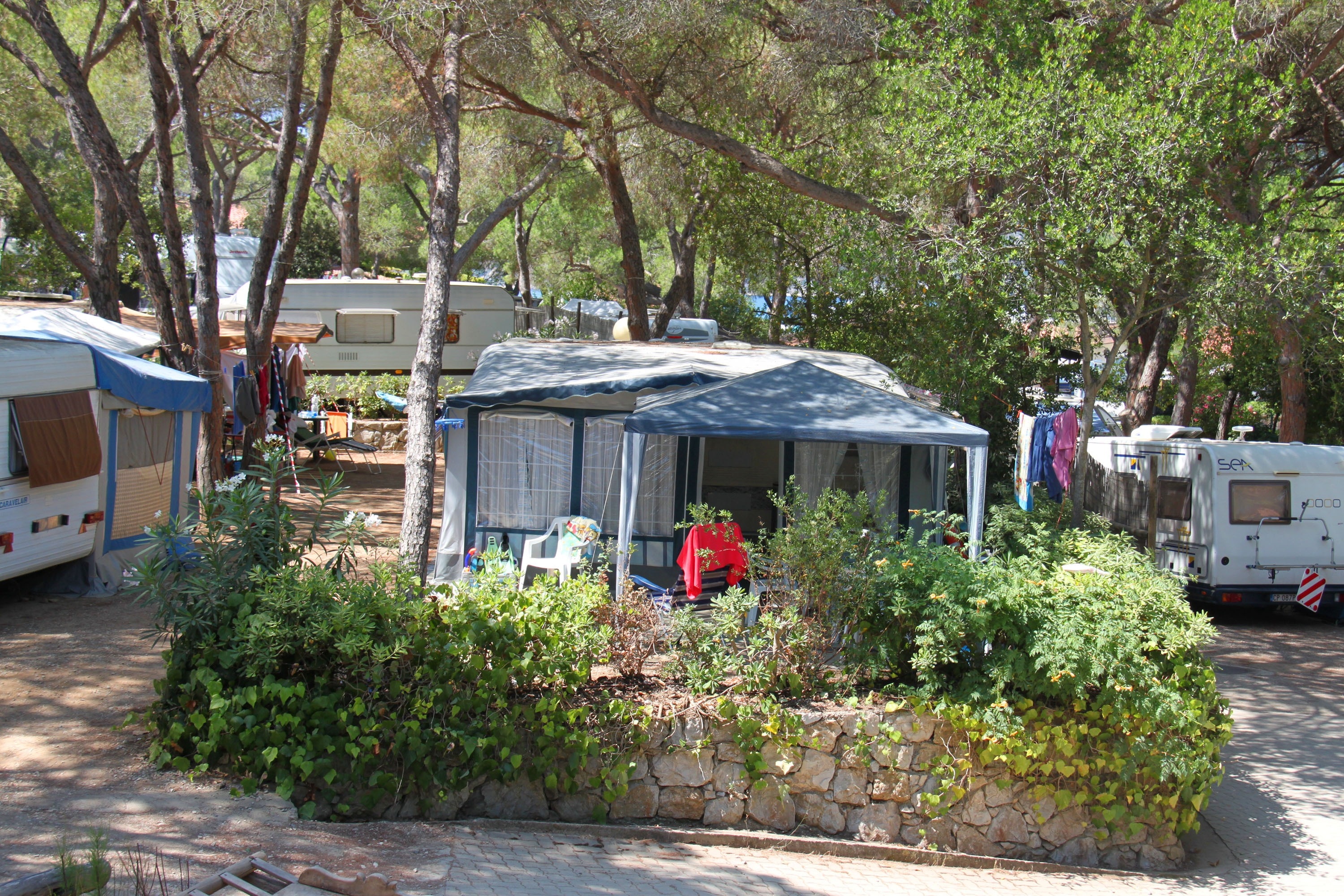 Camping Lacona Pineta