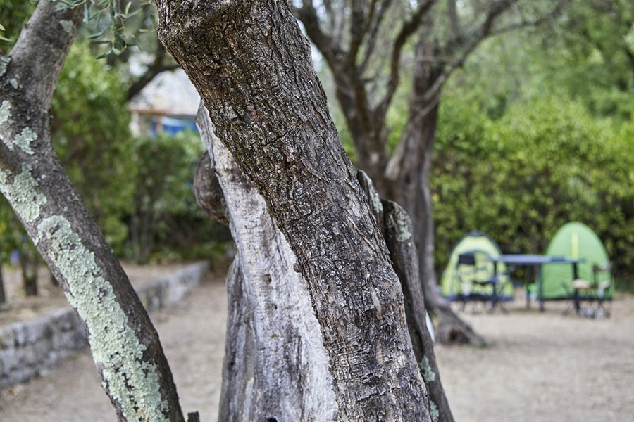 Camping La Paoute