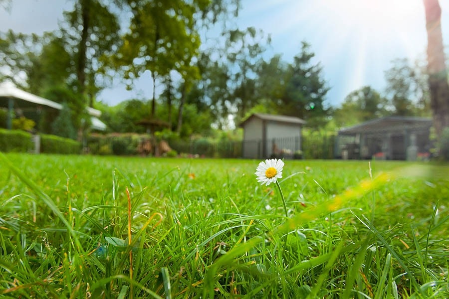 Camping De Spaendershorst