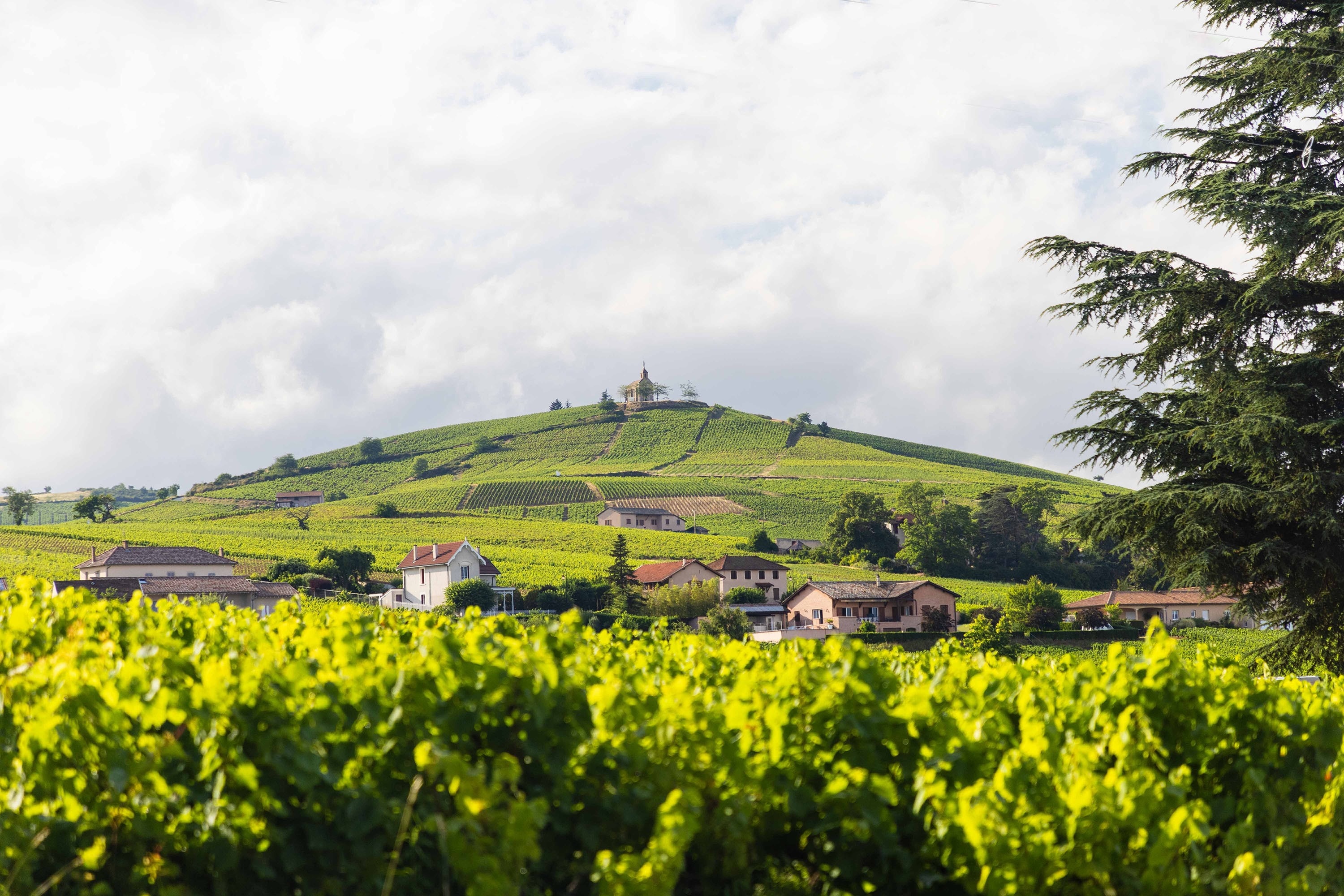 Camping La Grappe Fleurie
