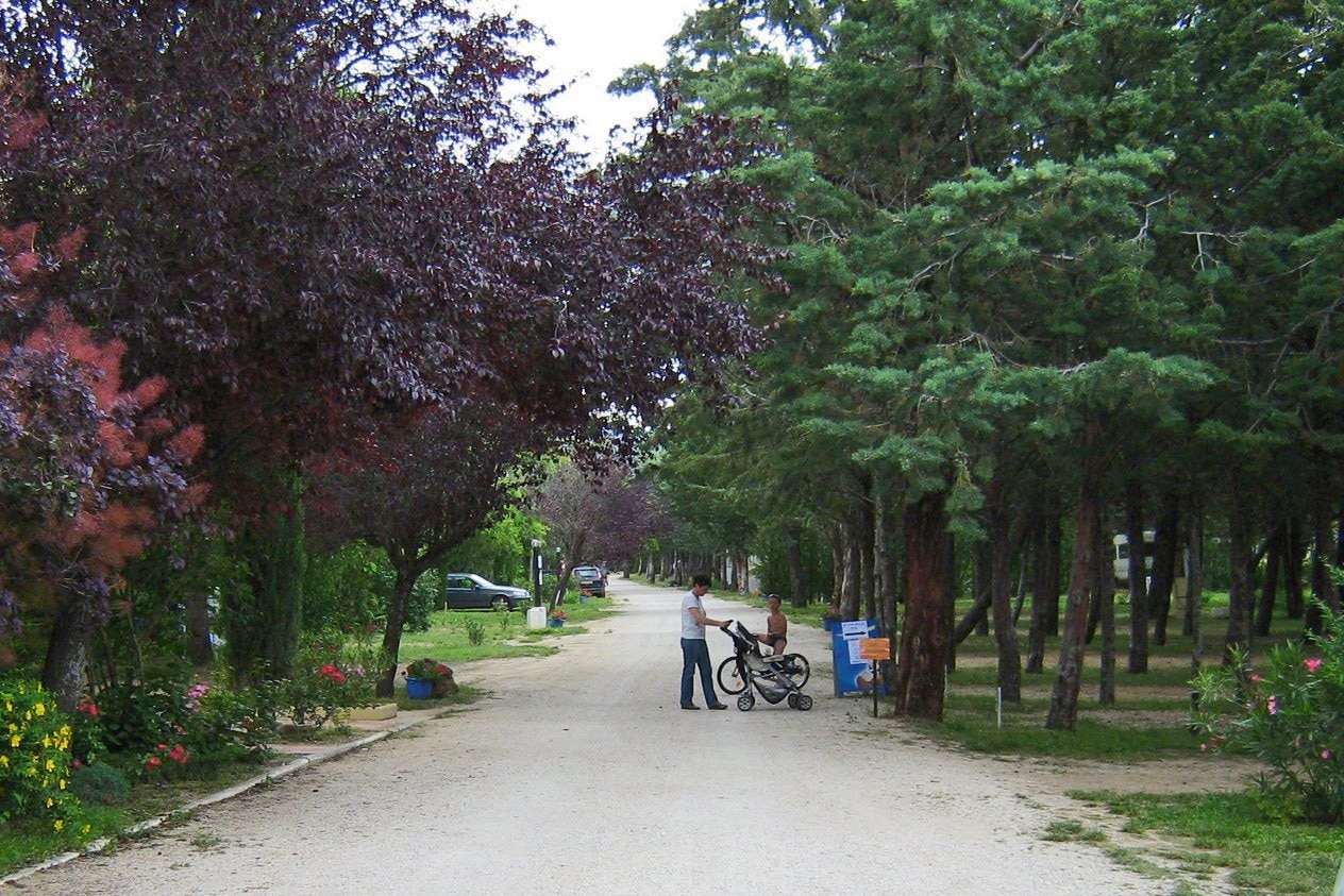 Camping Les Hautes Prairies