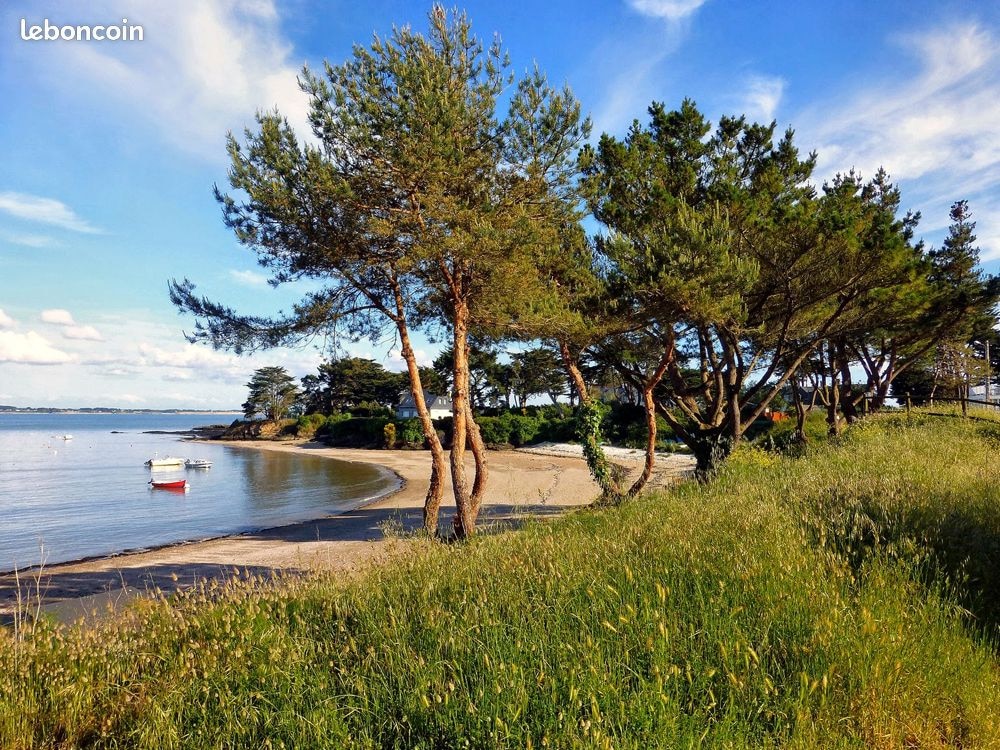 Camping L'Oasis