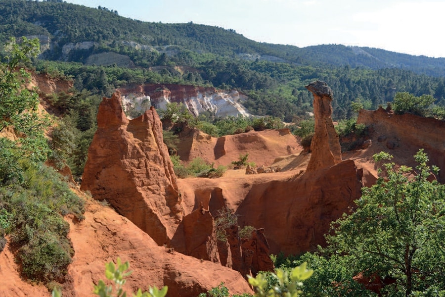 Pausado Domaine des Chênes Blancs