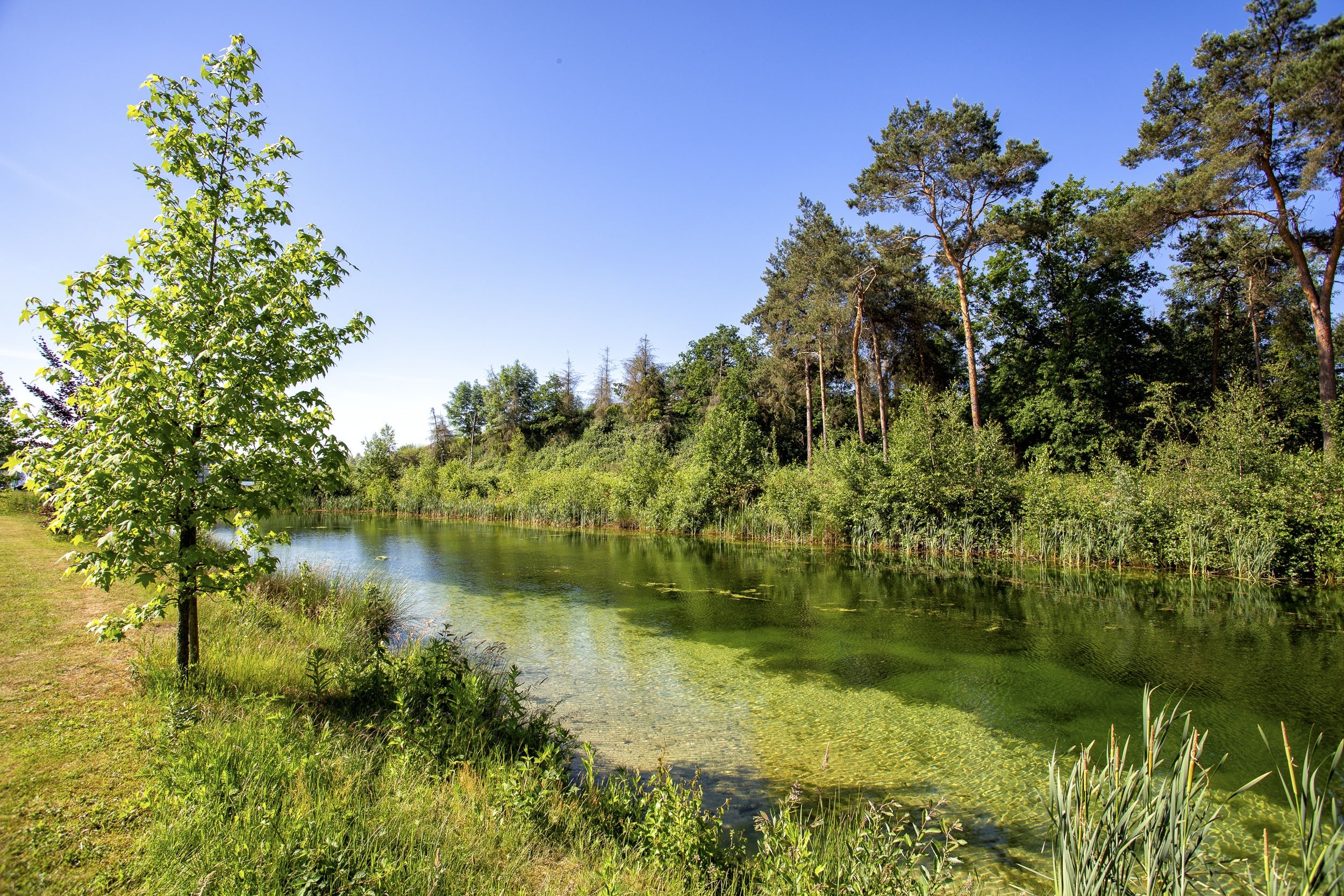 ParcCamping de Witte Vennen