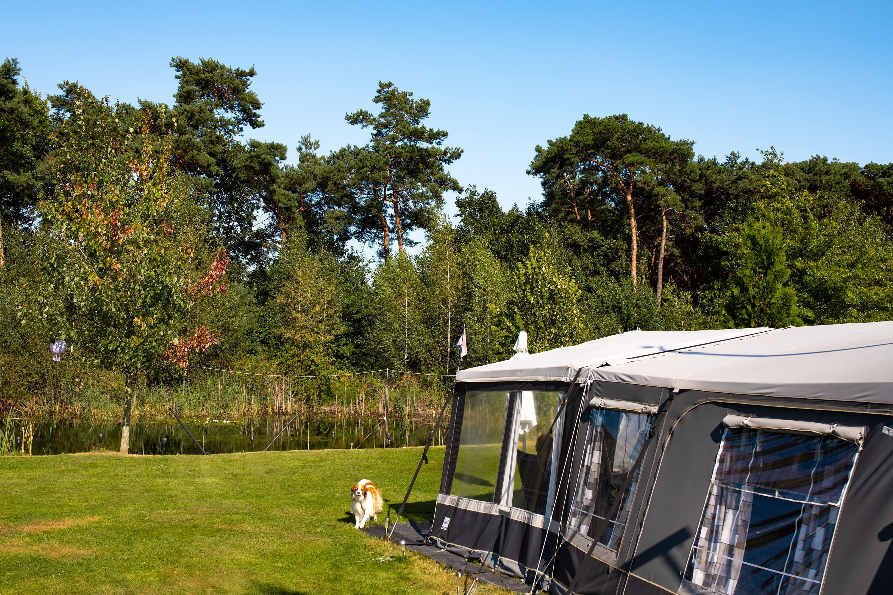 ParcCamping de Witte Vennen