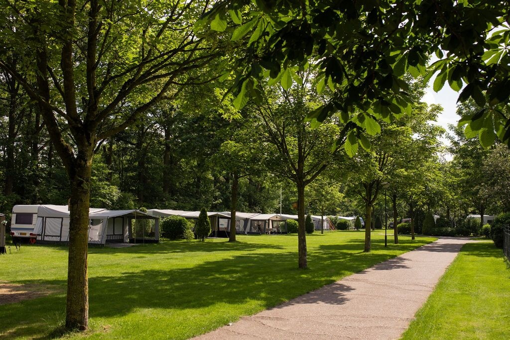 ParcCamping de Witte Vennen