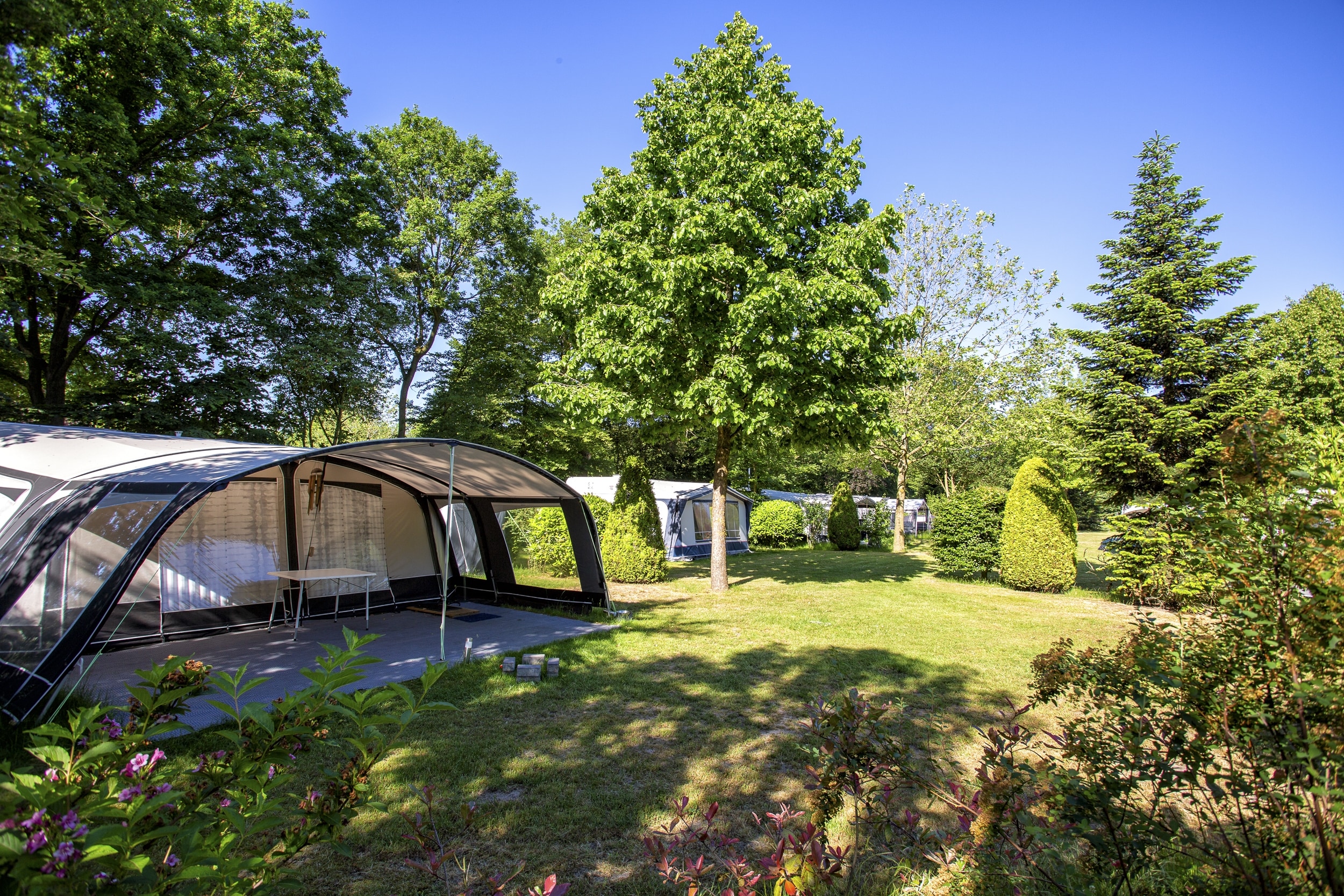 ParcCamping de Witte Vennen