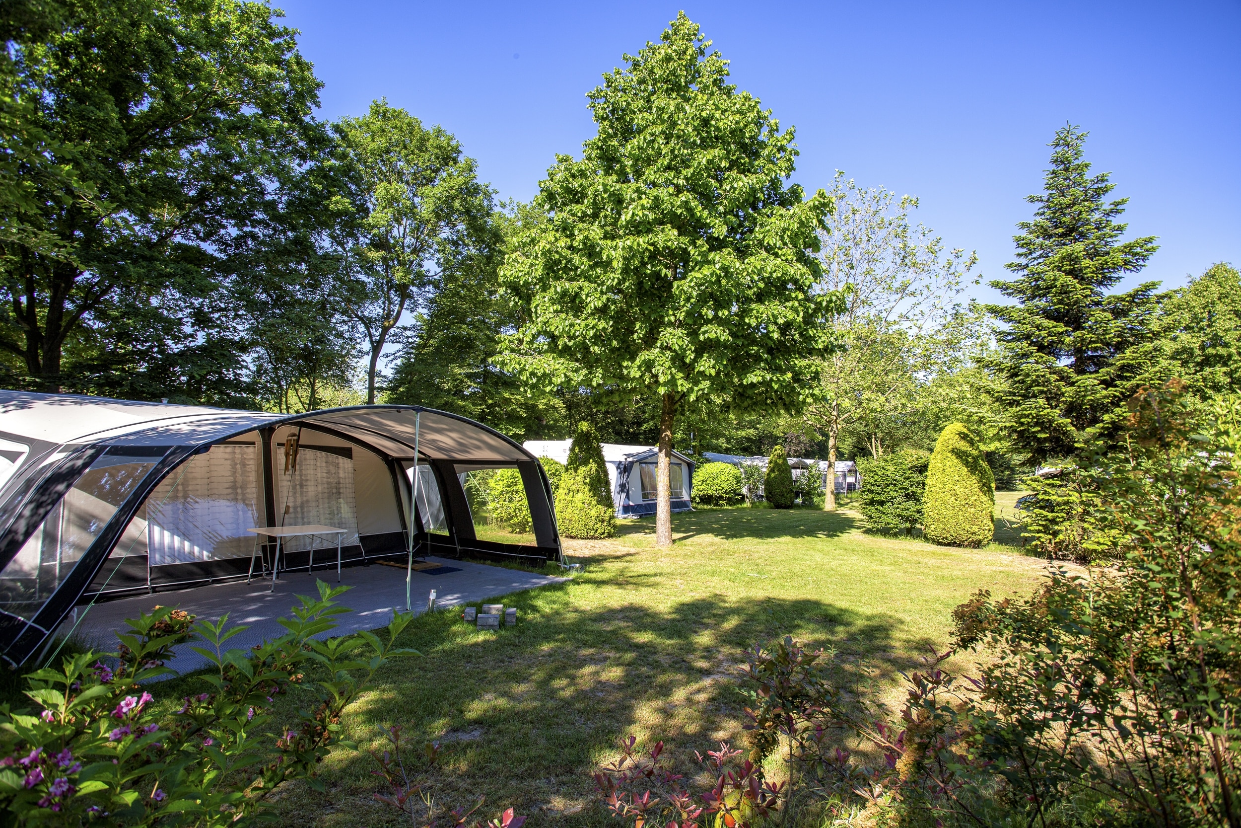 ParcCamping de Witte Vennen