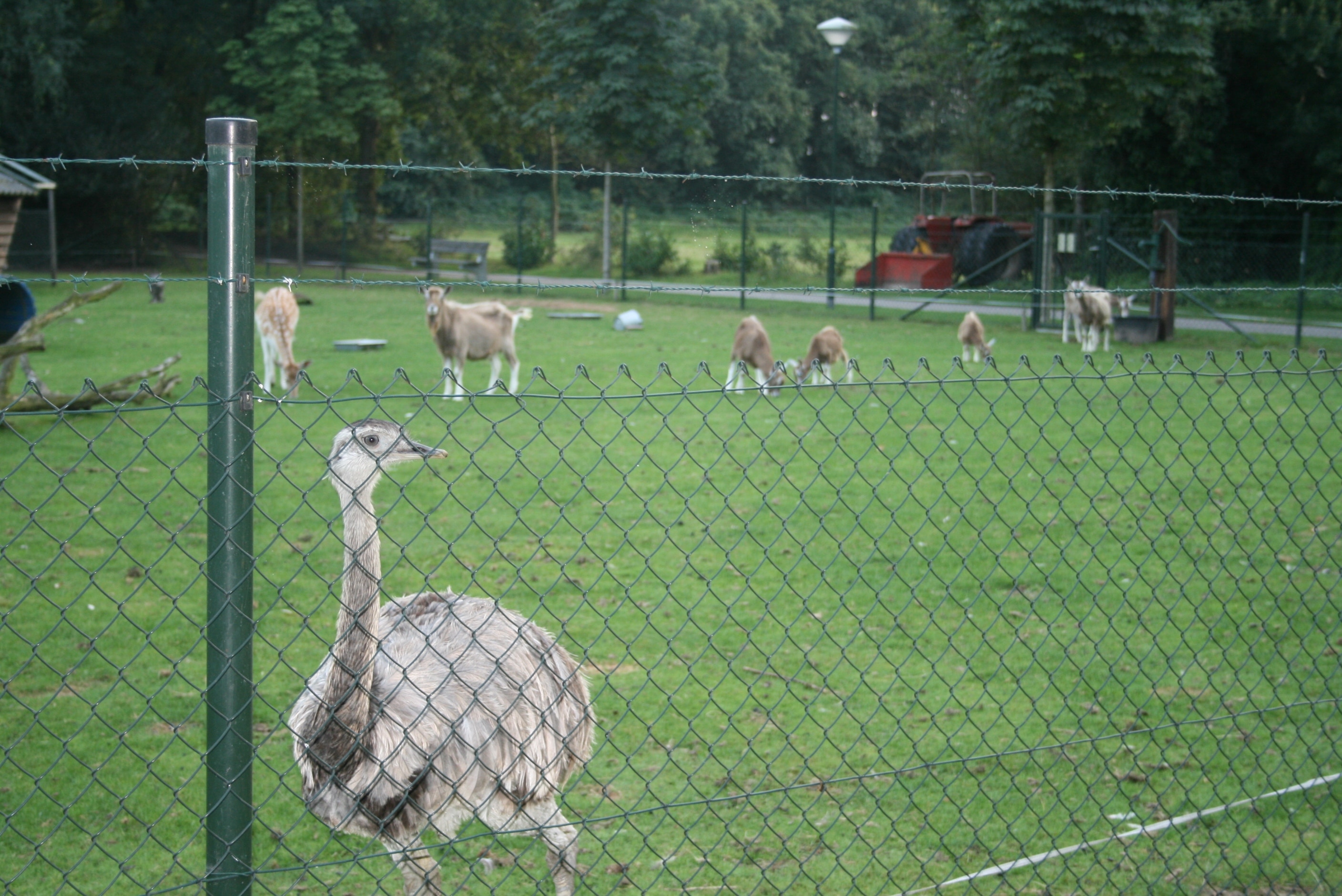 ParcCamping de Witte Vennen