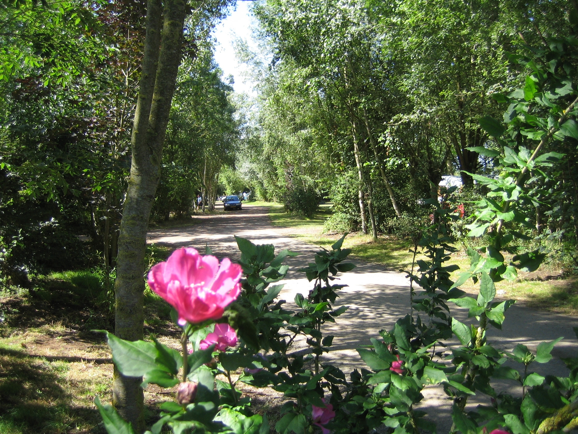 Camping La Grisse