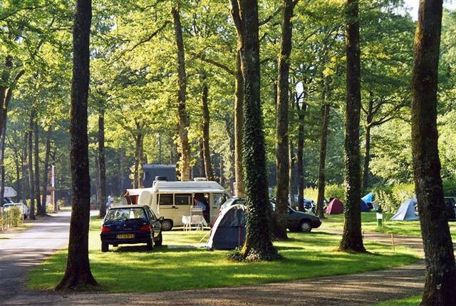 Camping Seasonova de La Forêt