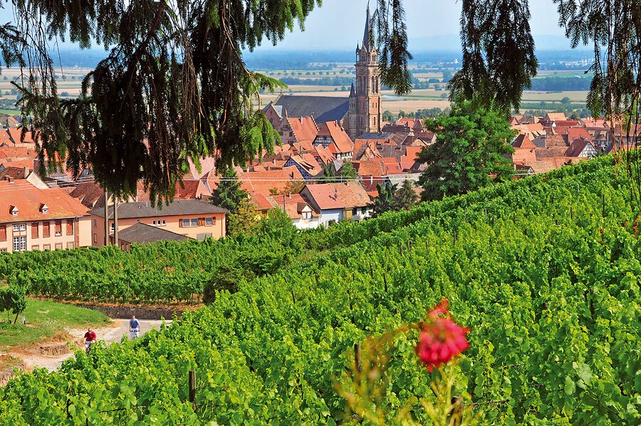 Camping Paradis Le Giessen