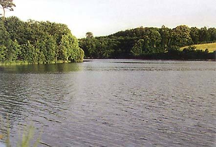 Flower Camping Val de Vie