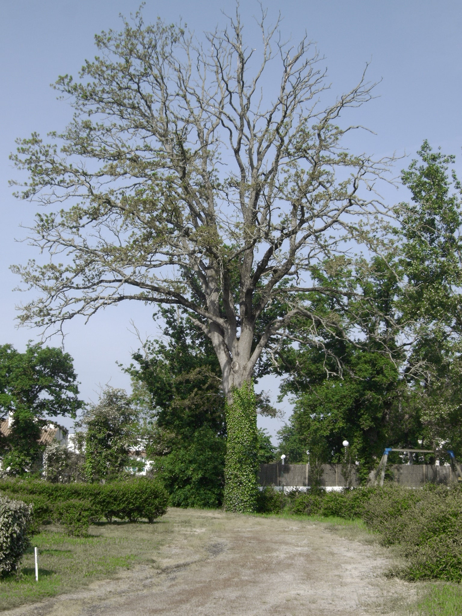Flower Camping Val de Vie