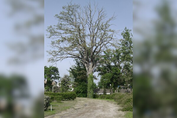 Flower Camping Val de Vie