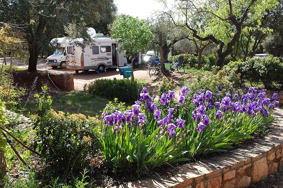 Camping Alquézar