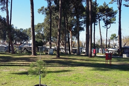 Parque de Campismo de Vila Chã