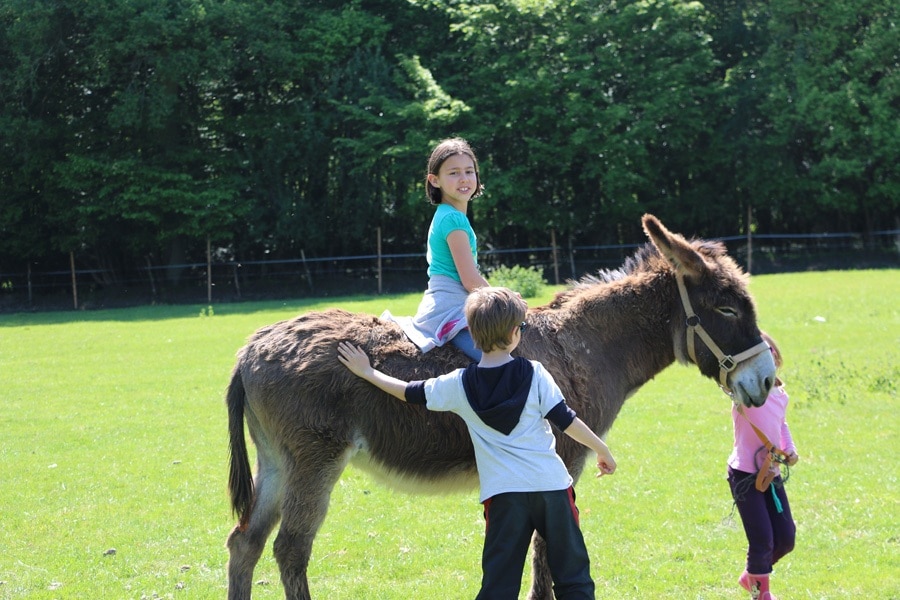 Camping Ferme Pédagogique de Prunay