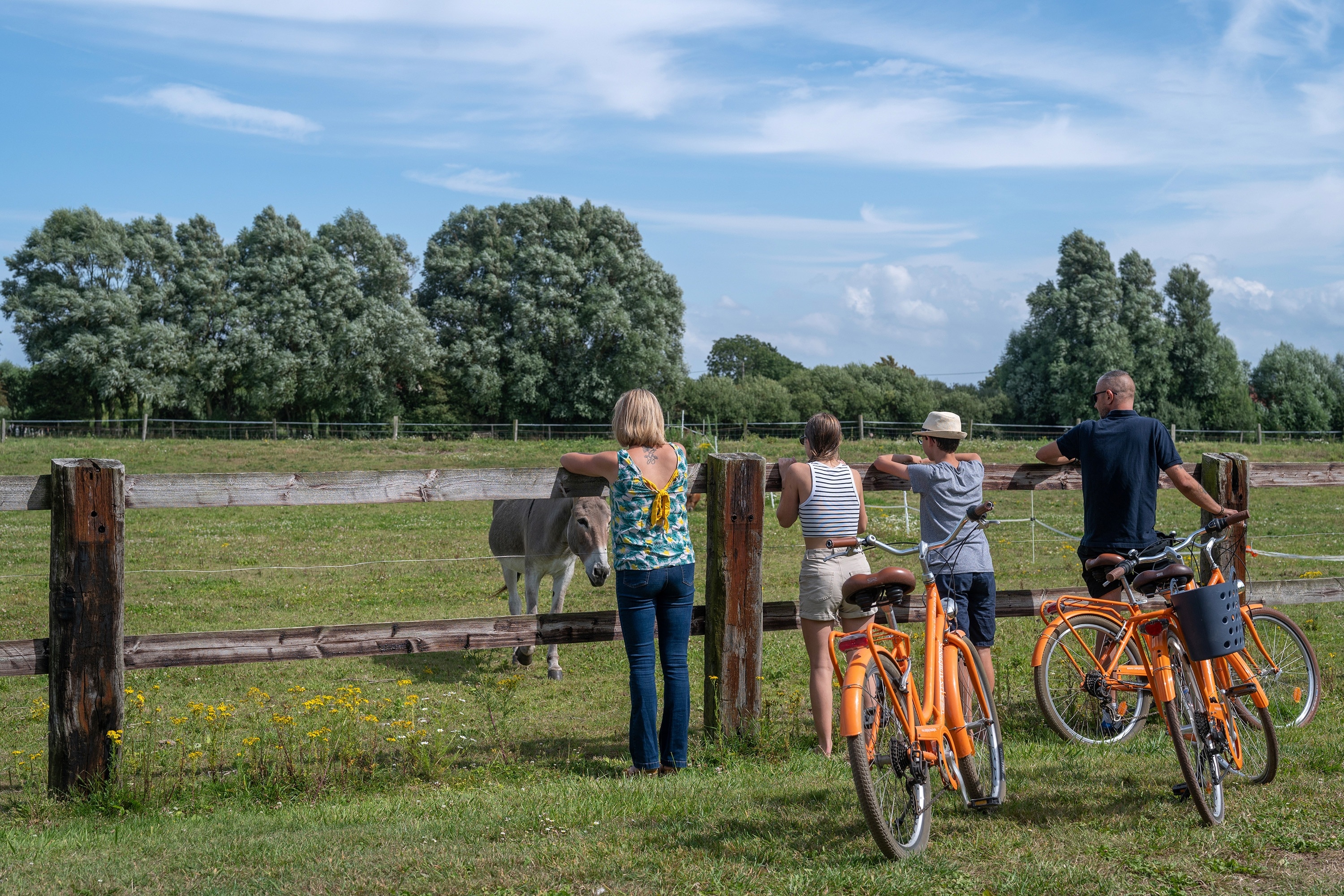Flower Camping Les Aubépines