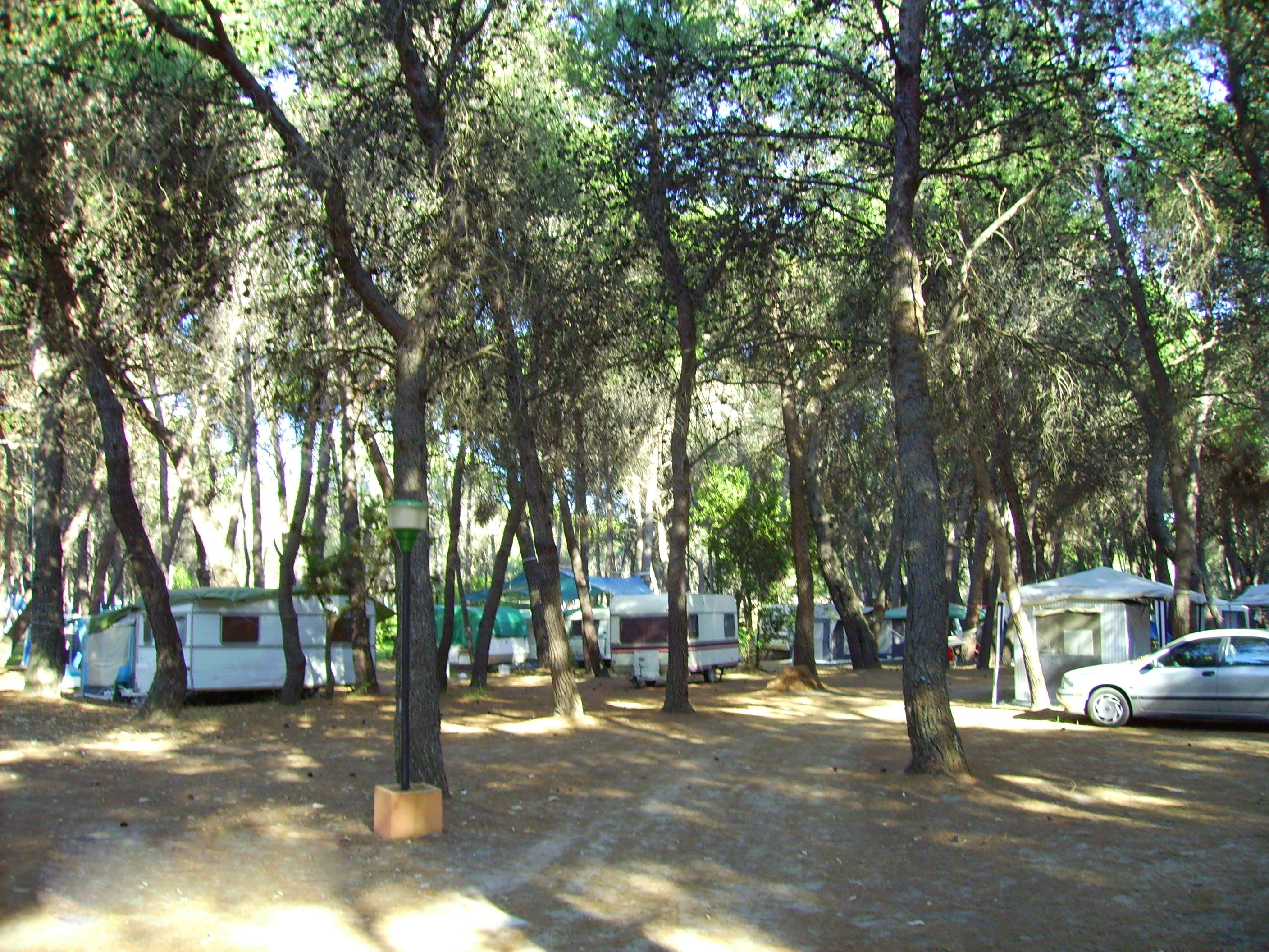 Camping-Village Pineta di Sibari