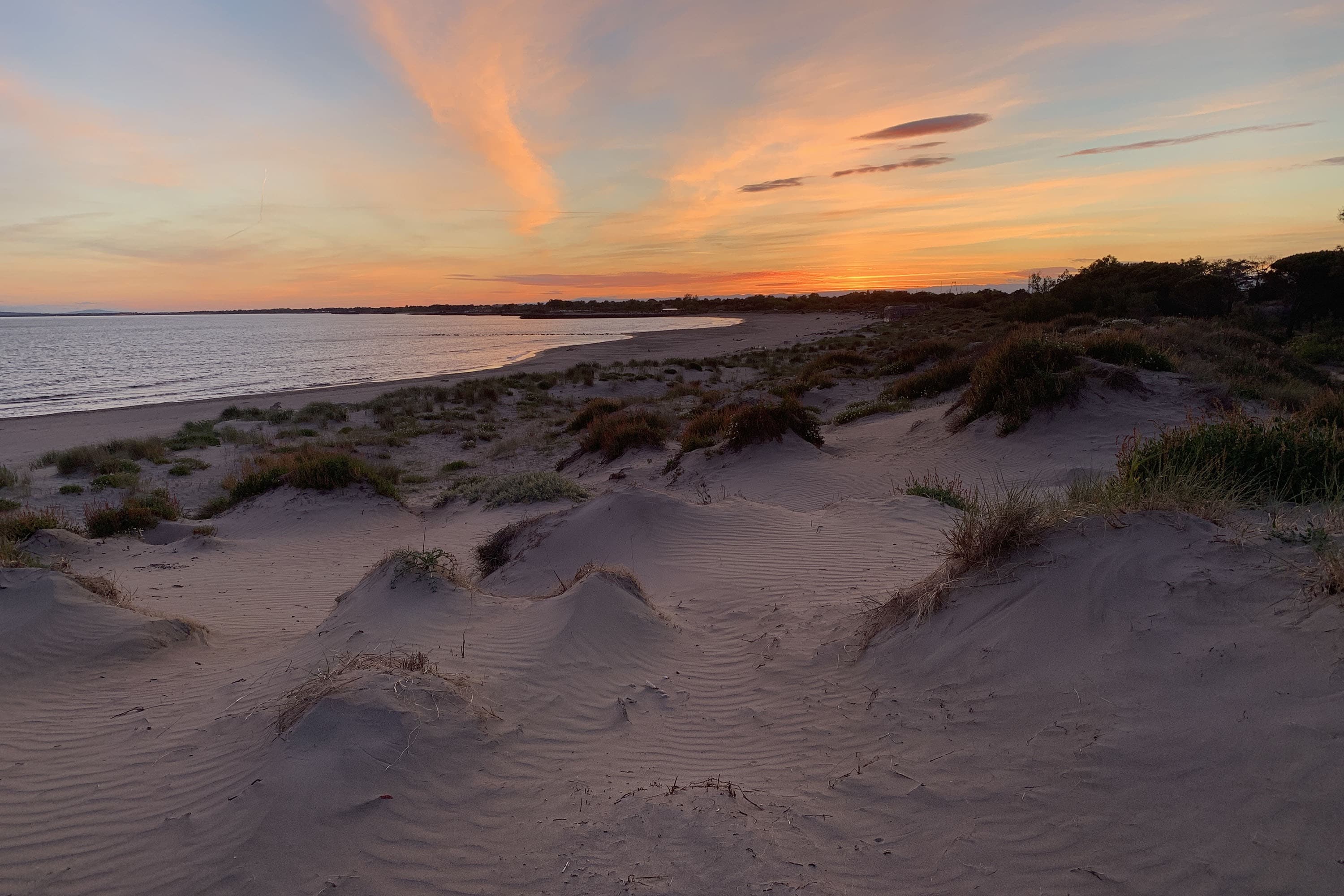 Camping La Tamarissière