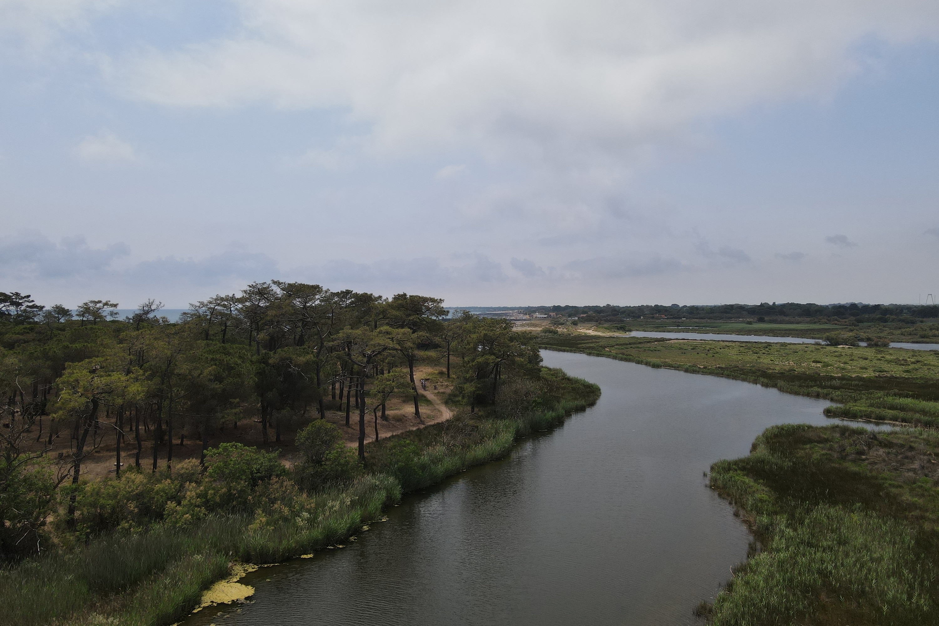 Camping La Tamarissière