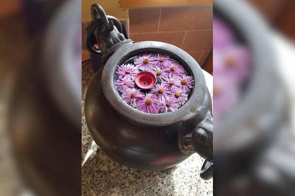 Camping Ecochiocciola