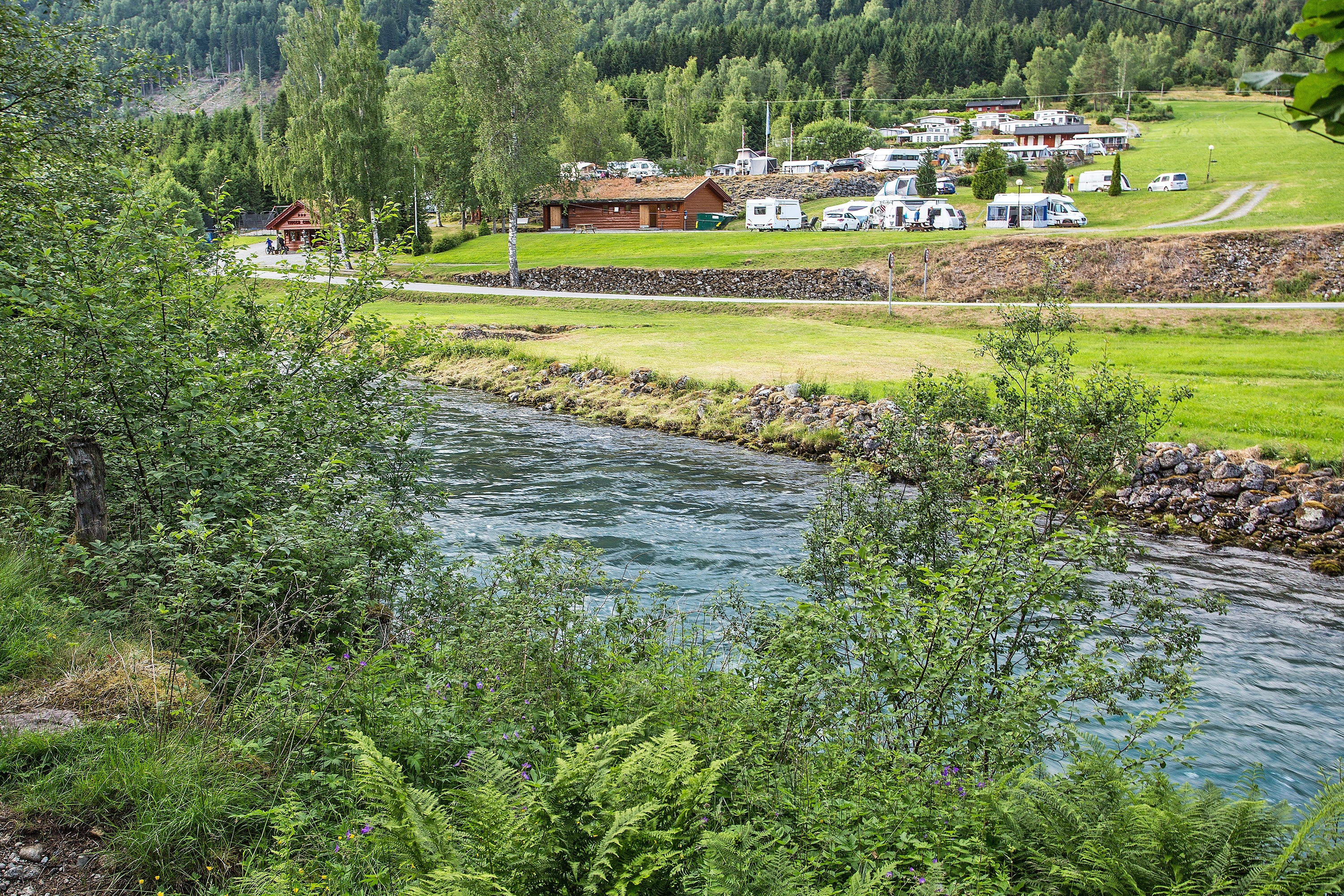 Tjugen Camping