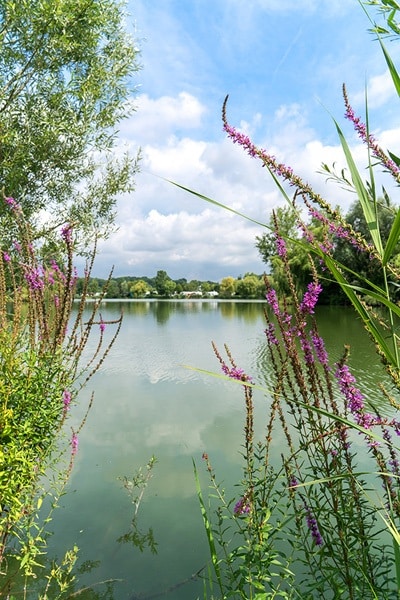 Sperrfechter Freizeit-Park