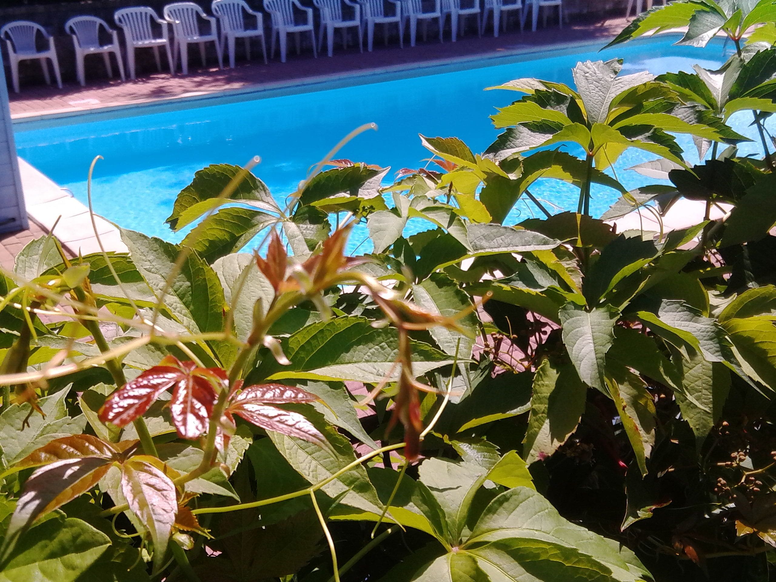 Camping Il Melo