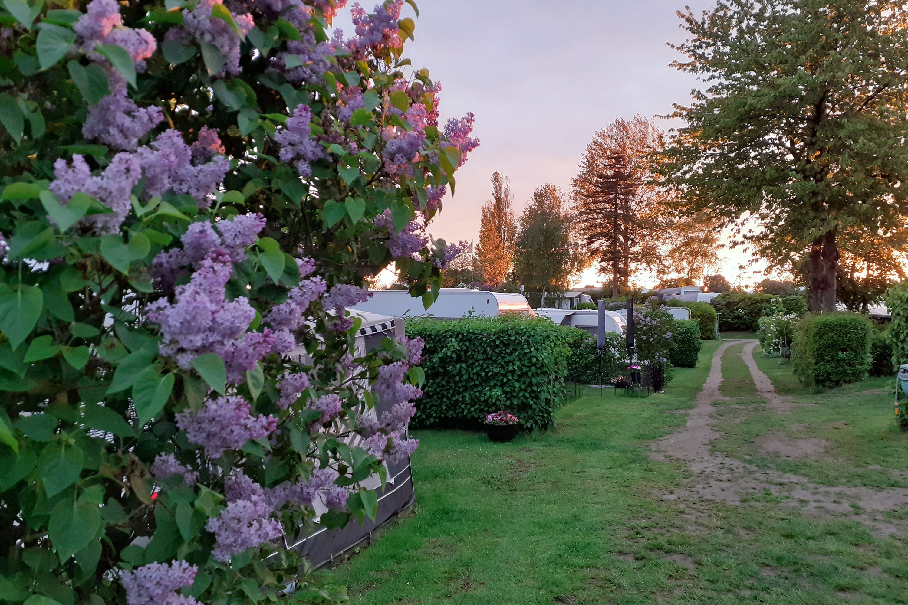 Kongsøre Camping