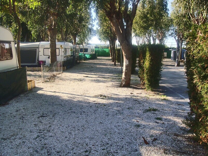 Camping El Naranjal