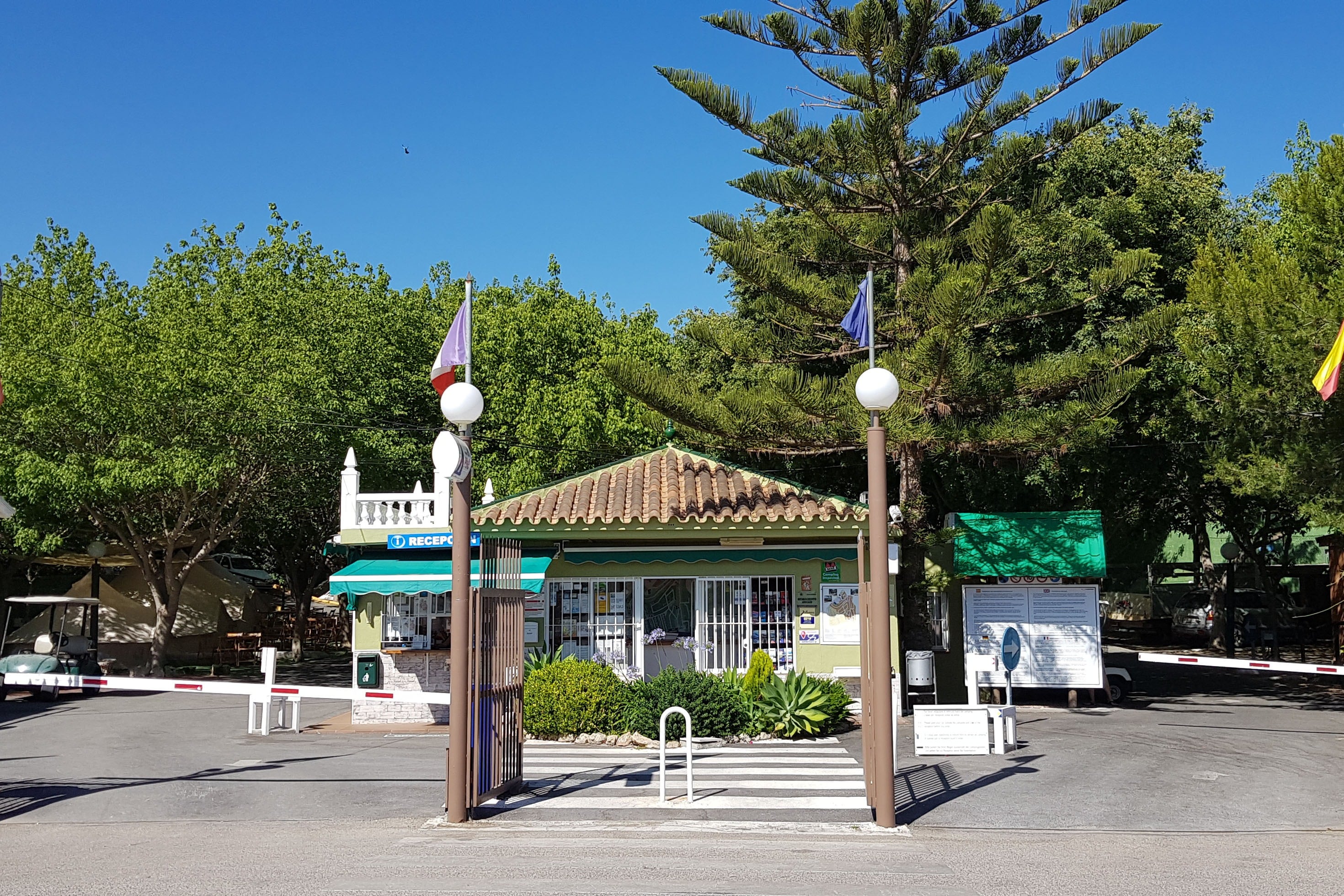Camping El Pino