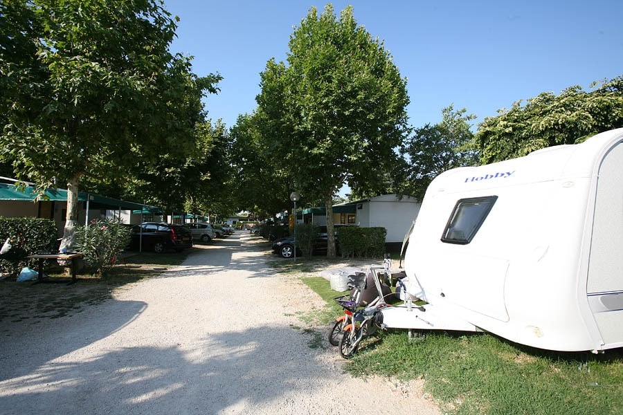 Camping Butterfly