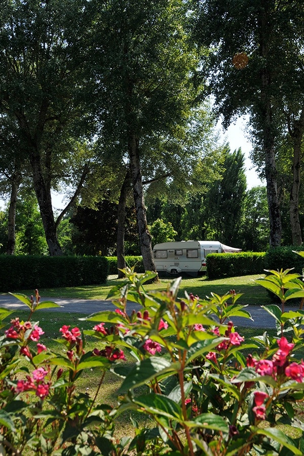 Flower Camping Du Port Caroline