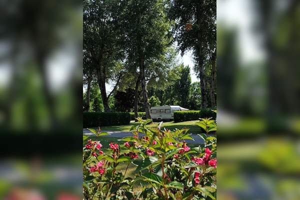 Flower Camping Du Port Caroline